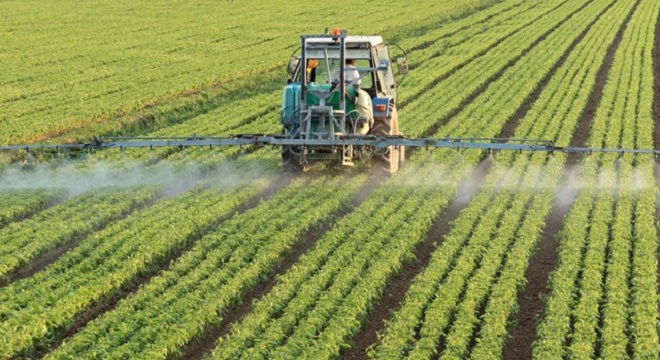 Les récentes précipitations promettent un bon démarrage de la campagne agricole