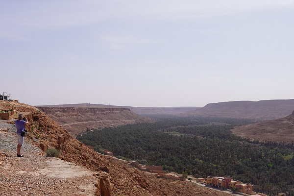 L’oasis d’Ouled Chaker, un éden de la nature et du patrimoine