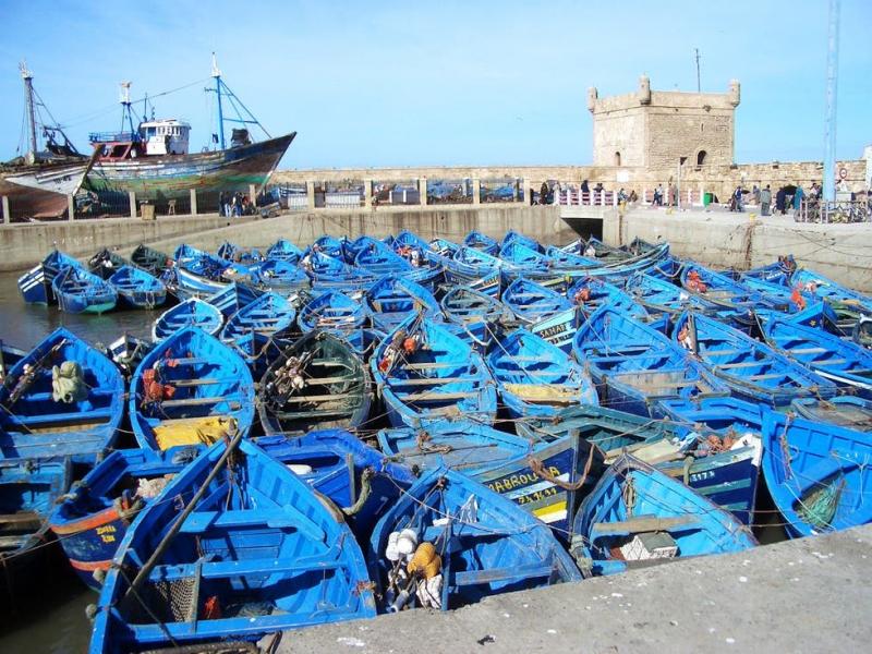 Port d’Essaouira : Hausse de 33% des débarquements de pêche à fin octobre (ONP)