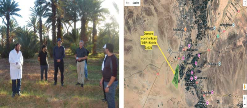 RECIT D'UN LIEU. Zagora : Domaine expérimental du palmier dattier l’INRA