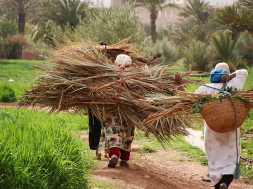 « Sultana Rim », une coopérative de couture redonne aux femmes rurales les clés de leur avenir