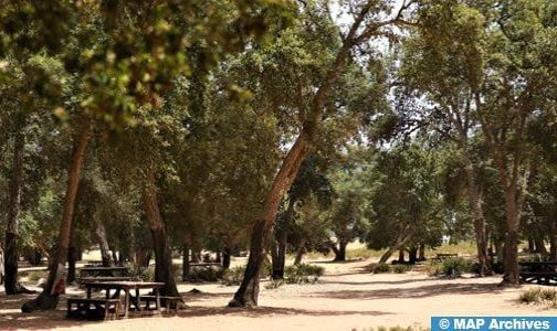 Rencontre à Oujda sur l’agroforesterie et les perspectives de son développement dans l’Oriental