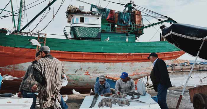 Port de Tan-Tan :  Chute de 45% des débarquements de la pêche côtière et artisanale en 2024