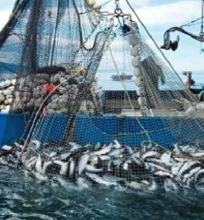 Les perspectives de la coopération dans le domaine de la pêche au centre d’entretiens maroco-omanais