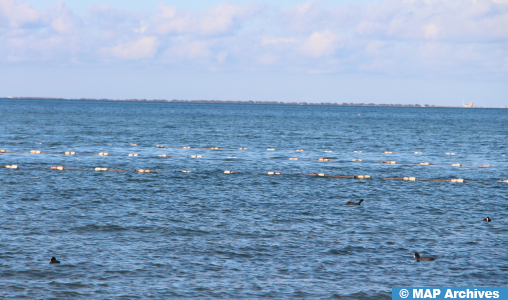 Aquaculture durable : Le Maroc, un modèle pour les pays africains