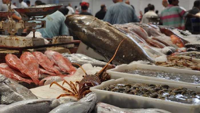 Port de Tanger: Les débarquements de pêche reculent de 11% à fin février