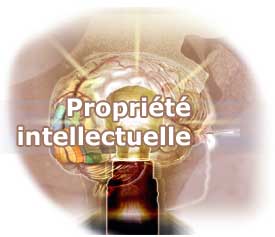 Naissance de la Coalition marocaine  pour la propriété intellectuelle