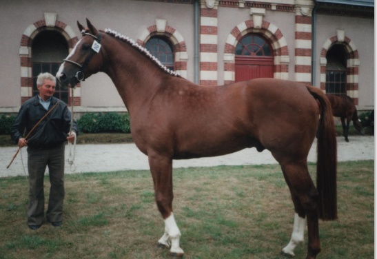 Assurer un meilleur encadrement des éleveurs de chevaux