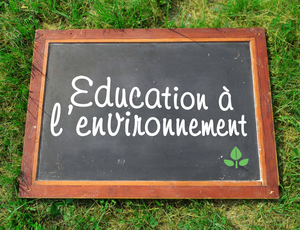 Une journée de l’éducation à l'environnement et au développement durable à Kénitra