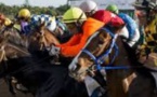 Casablanca à l’heure du "Meeting international du Maroc " des courses hippiques