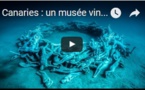 Canaries : un musée vingt mille lieues sous les mers