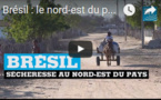 Brésil : le nord-est du pays en proie à la pire sécheresse depuis un siècle 