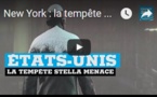 New York : la tempête Stella menace