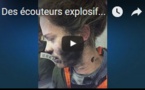 Des écouteurs explosifs...!