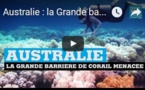 Australie : la Grande barrière de corail en danger