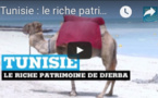 Tunisie : le riche patrimoine de Djerba