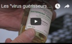 Les "virus guérisseurs", un espoir dans la lutte contre les "superbactéries"