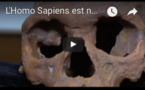 L'Homo Sapiens est né au Maroc 