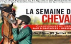 Rabat à l’heure de la 33ème édition de la Semaine du cheval