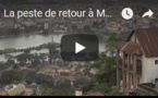 La peste de retour à Madagascar