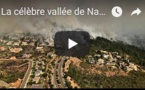 La célèbre vallée de Napa en Californie en proie aux flammes