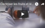 Électriser les fruits et légumes pour mieux les transformer - futuris