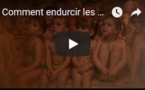 Comment endurcir les petits Sibériens ?