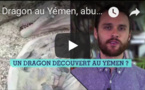 Les observateurs : Dragon au Yémen, abus de forces de l'ordre en Côte d'Ivoire et contre les domestiques au Liban