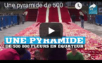 Une pyramide de 500 000 fleurs en Équateur