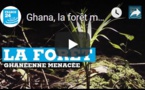 Ghana, la forêt menacée