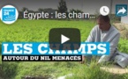 Égypte : les champs autour du Nil menacés