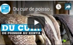 Du cuir de poisson fabriqué au Kenya