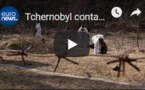 Tchernobyl contaminé par les déchets
