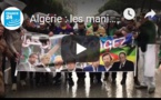 Algérie : les manifestants rejettent le soutien du FLN au mouvement
