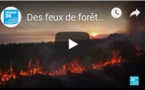 Des feux de forêts importants touchent l’Amazonie, Bolsonaro accuse les ONG