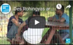 Des Rohingyas arrivent en Serbie au terme d’un long périple
