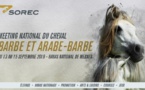 Meknès abrite le 3ème meeting national du cheval barbe et arabe-barbe