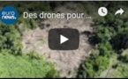 Des drones pour protéger la forêt amazonienne