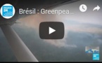 Brésil : Greenpeace dénonce l'inaction de Bolsonaro en Amazonie