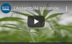 L'Assemblée nationale française autorise le cannabis thérapeutique