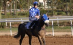 Le cheval Rajeh remporte le GP de S.M le Roi Mohammed VI du pur-sang arabe