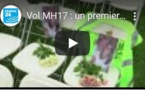 Vol MH17 : un premier procès par contumace s'ouvre aux Pays-Bas