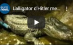 L'alligator d'Hitler meurt à Moscou à l'âge de 84 ans