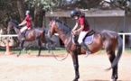 Sports équestres: Les chevaux reprennent du collier après trois mois de confinement