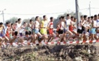 Le Maroc remporte le Championnat maghrébin de cross scolaire