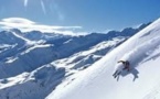 Coupe des  premières neiges