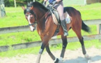 Le cheval Arkaitz remporte  le Grand prix de Sa Majesté le Roi Mohammed VI du pur-sang anglais