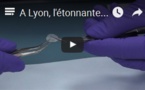 A Lyon, l'étonnante "usine à peaux" reconstruites de L'Oréal