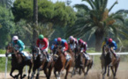 ​GP Mohammed V  des courses hippiques