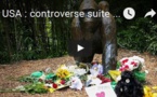 USA : controverse suite à l'abattage d'un gorille à Cincinatti